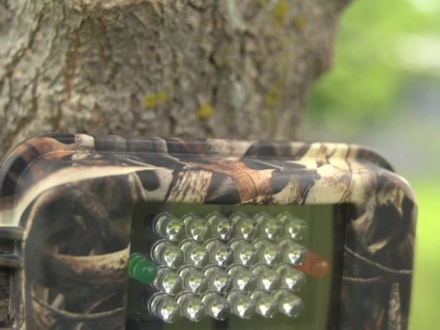 Skout%u2122 7.0MP Infrared Digital Video / Scouting Trail Camera - image 9 from the video